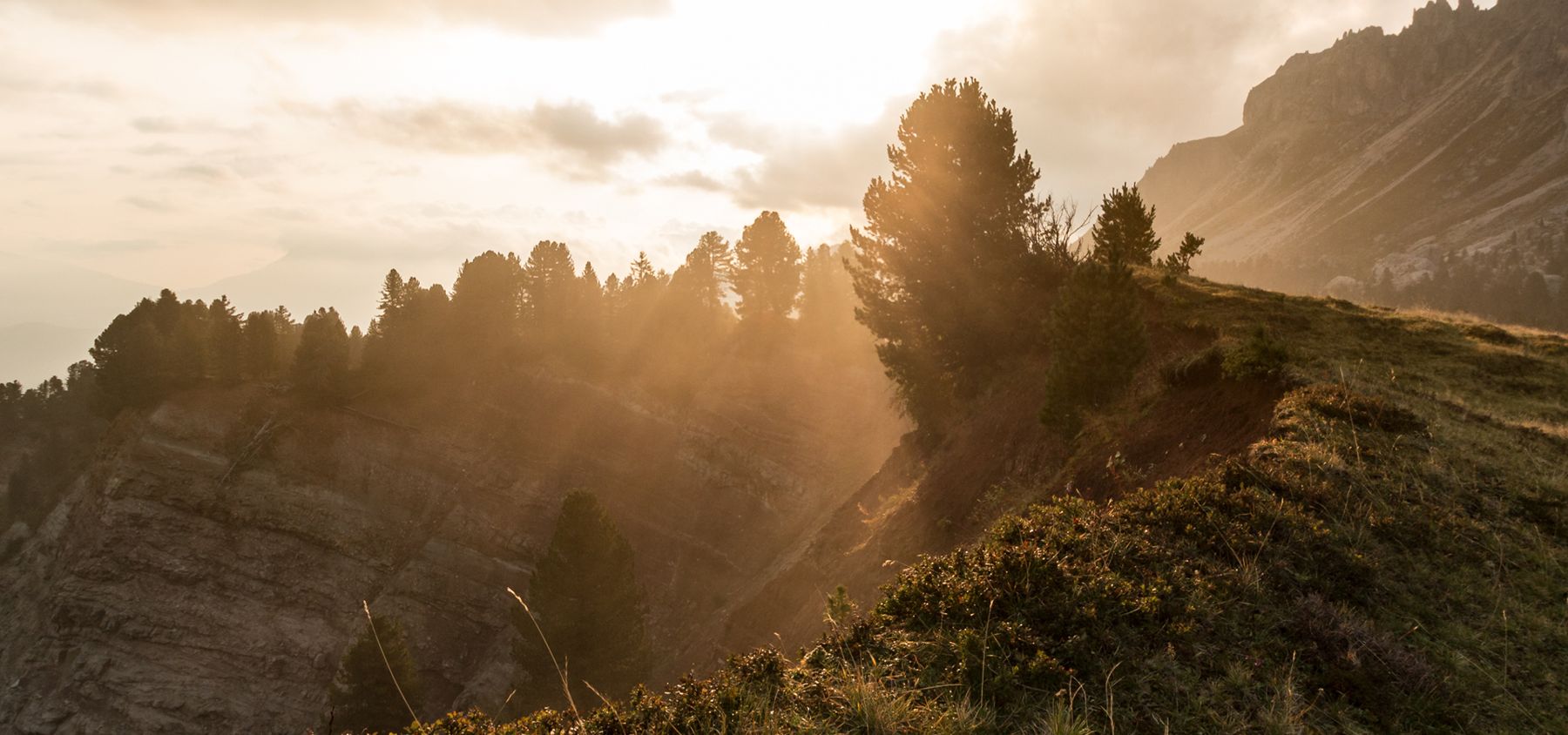 Golden light on the slope
